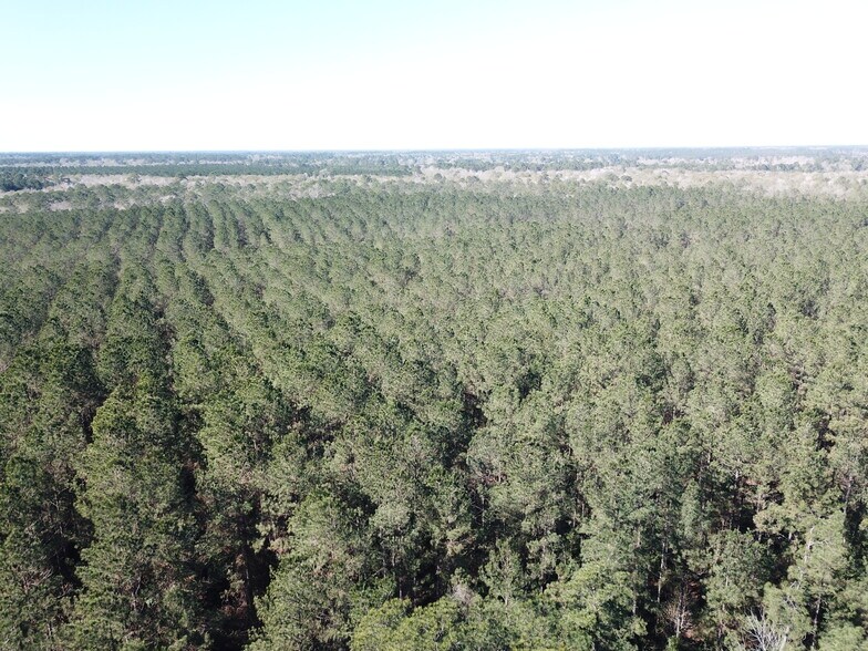 More Photos Of Corrigan Road, Vidor Land For Sale