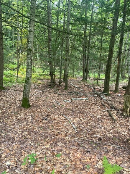 Primary Photo Of Daggett Hill (TM R16-3) Rd, Westmoreland Land For Sale