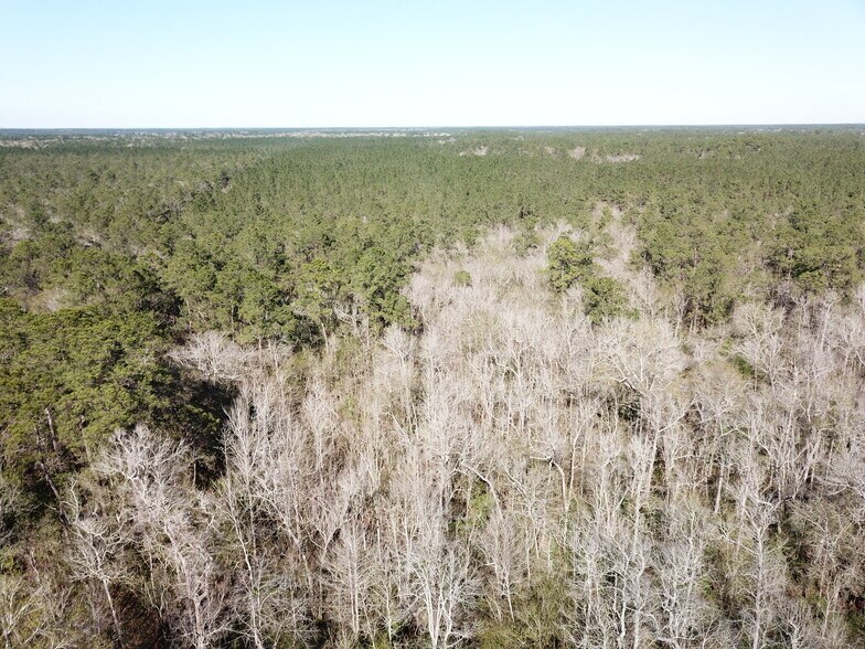 More Photos Of Corrigan Road, Vidor Land For Sale