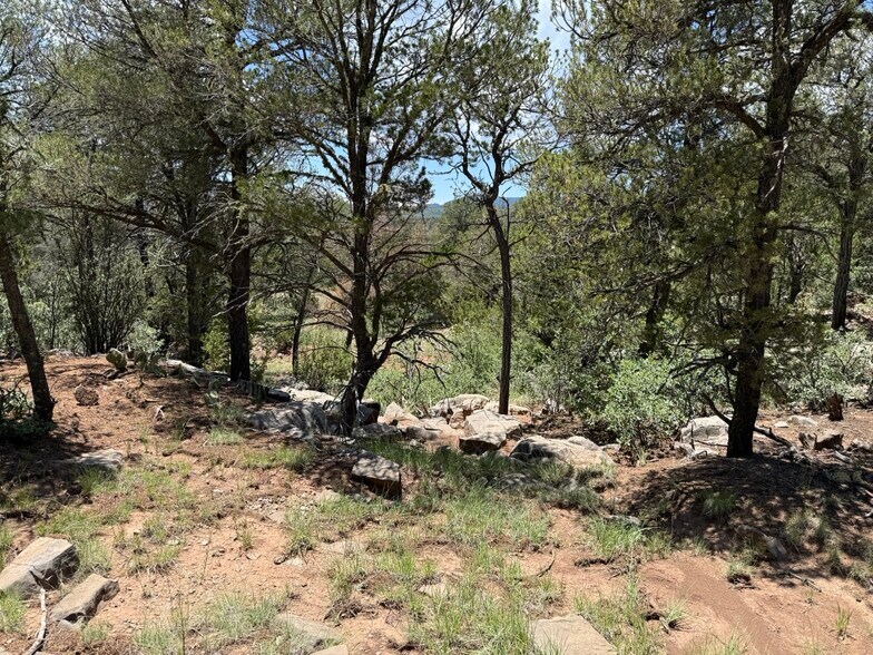 More Photos Of 44 Forest 321 Rd, Estancia Land For Sale