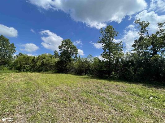 More Photos Of 3353 S Center Rd, Burton Land For Sale