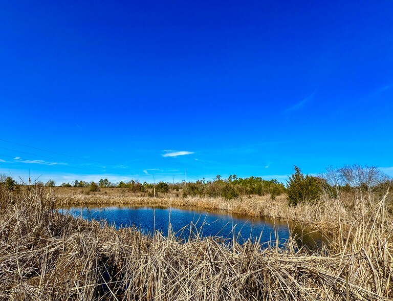 More Photos Of 107 Ac Veterans Memorial Pkwy, Huntsville Land For Sale