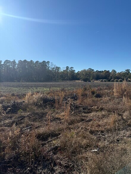More Photos Of 4849 NC Highway 11, Kelly Land For Sale