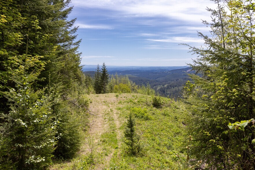 More Photos Of 0 Snag Mountain Road, Washougal Land For Sale