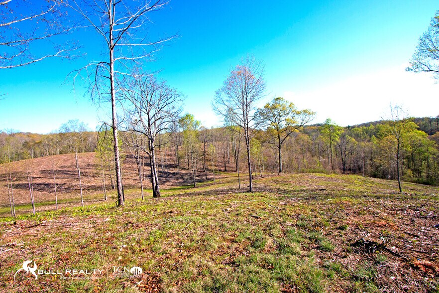 More Photos Of Brandy Mountain Rd, Dahlonega Land For Sale
