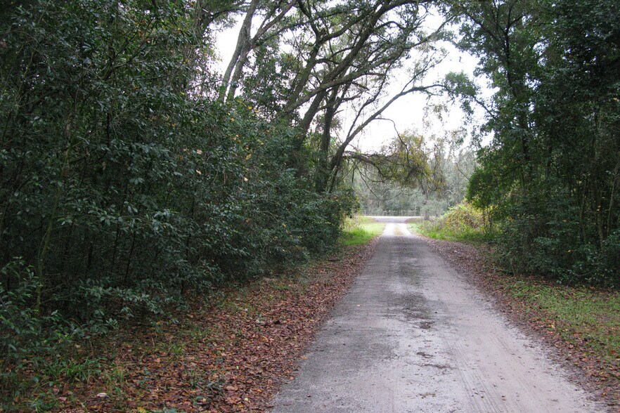 More Photos Of NE Corner CR 39 and Jerry Road, Crystal Springs Land For Sale