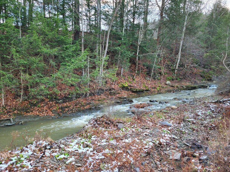 More Photos Of 5252 Monkey Run Rd, Gillett Schools For Sale