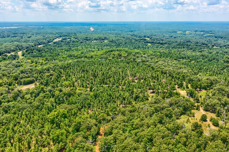 More Photos Of TBD State Hwy 64, Tyler Land For Sale