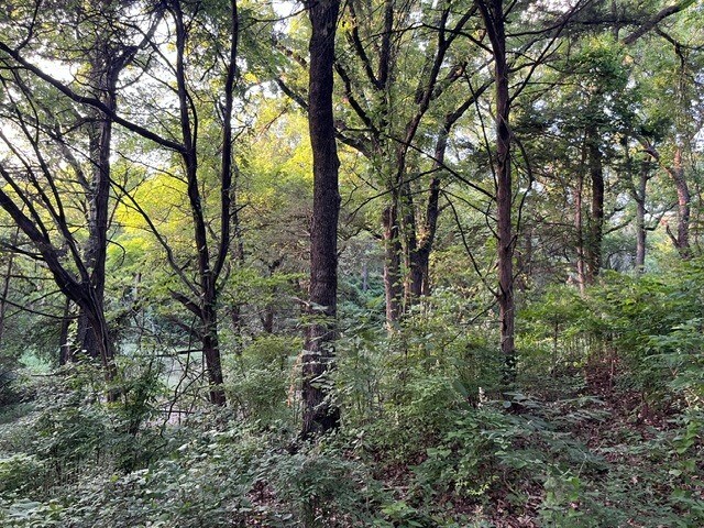 More Photos Of 1878 W Belt Line Rd, Cedar Hill Land For Sale