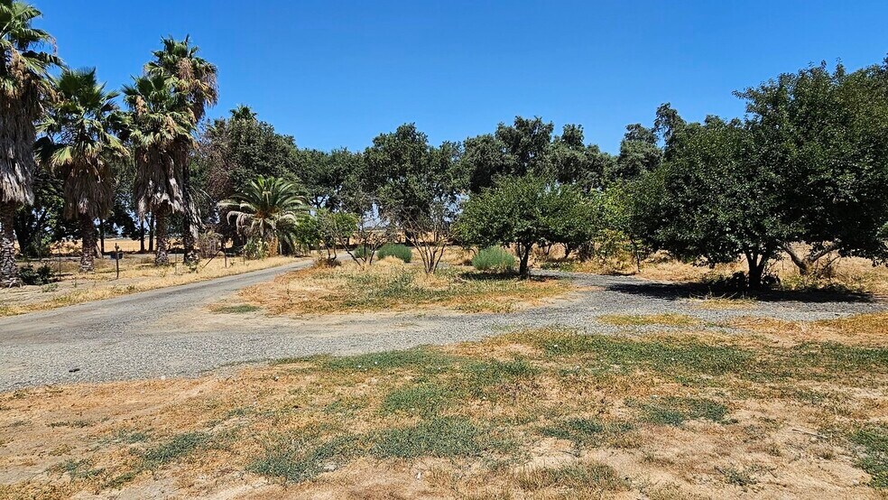 More Photos Of 39699 County Road 17A, Woodland Land For Sale