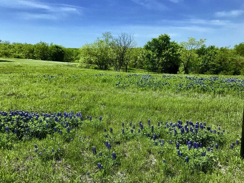 More Photos Of 3159 Sanctuary Drive Dr, Cedar Hill Land For Sale