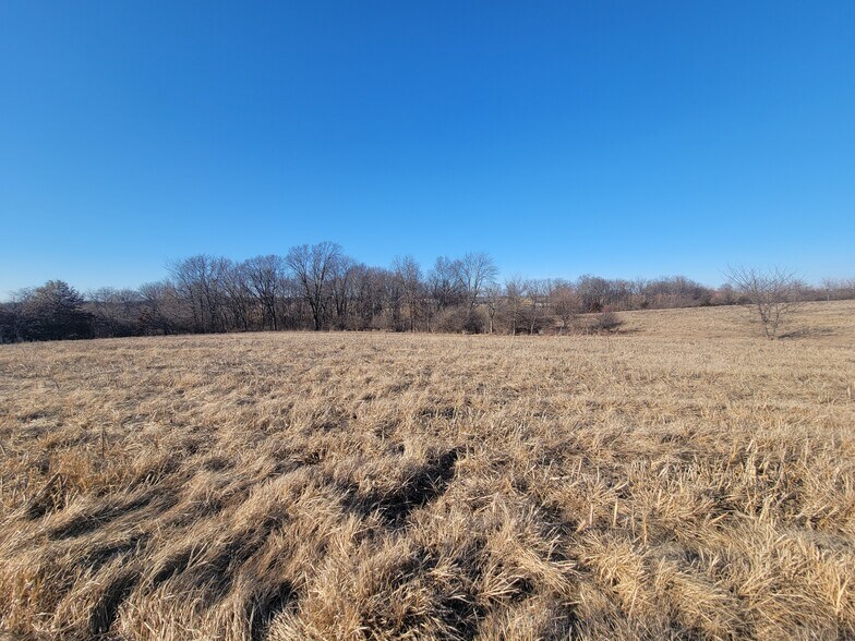 More Photos Of 171 Windy Hill Rd. (20+/- Acres), Elsberry Land For Sale