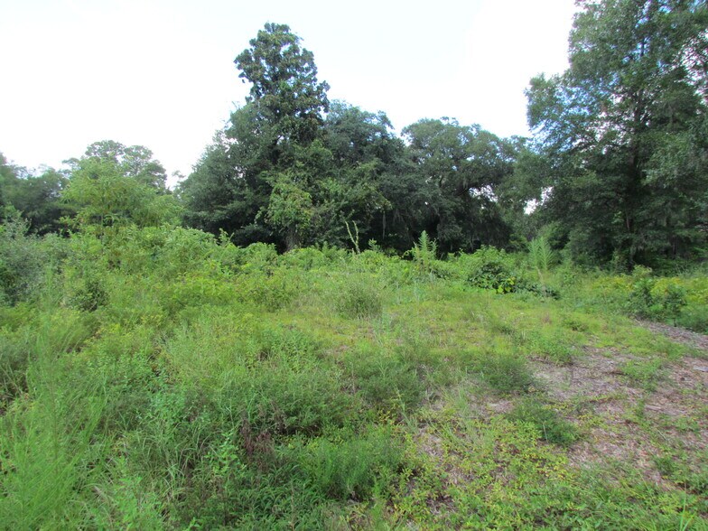 More Photos Of Tbd Firehouse Ln, Beaufort Land For Sale