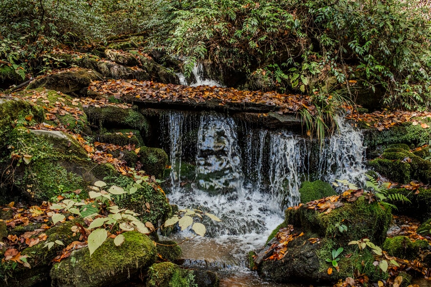 More Photos Of 195 Still Waters Ln, Brevard Land For Sale