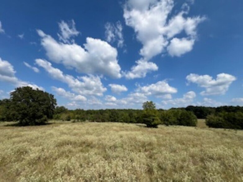More Photos Of 21805 U.S. HWY 69S hwy, Bullard Land For Sale