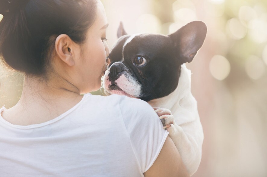 More Photos Of 1415 Cuming St NE, Omaha Apartments For Lease