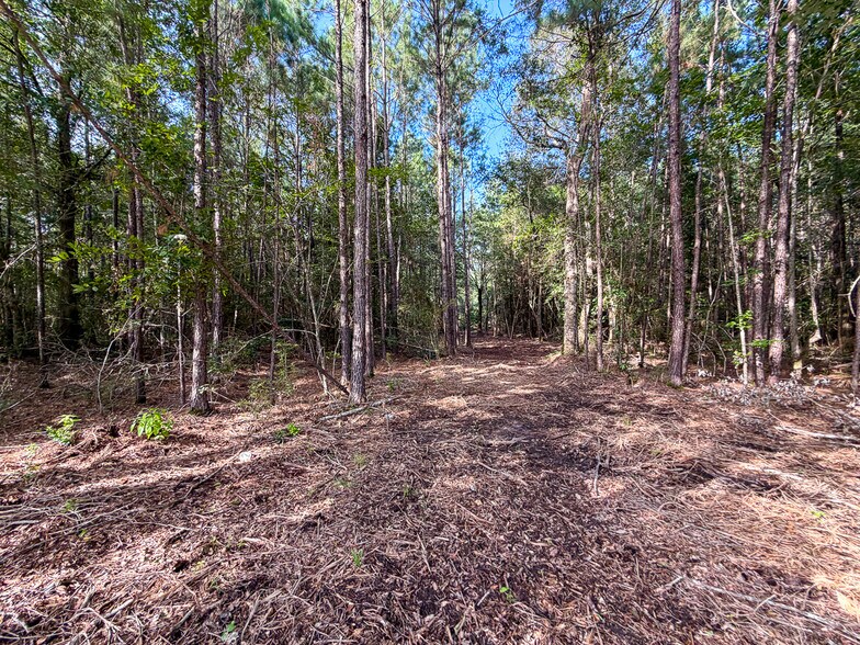 More Photos Of 3.39 Acres, FM 787, Saratoga Land For Sale