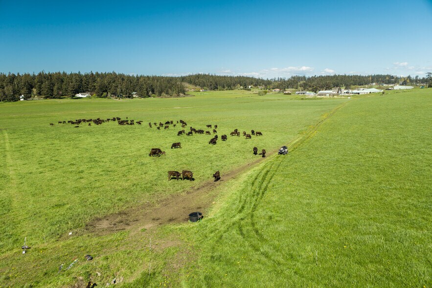 More Photos Of 1570 Wieldraayer Rd, Oak Harbor Land For Sale