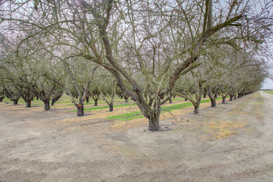 More Photos Of 13120 S Highway 99, Manteca Land For Sale