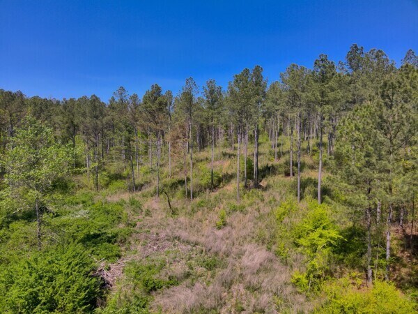 More Photos Of 0 S Sauty Rd, Langston Land For Sale