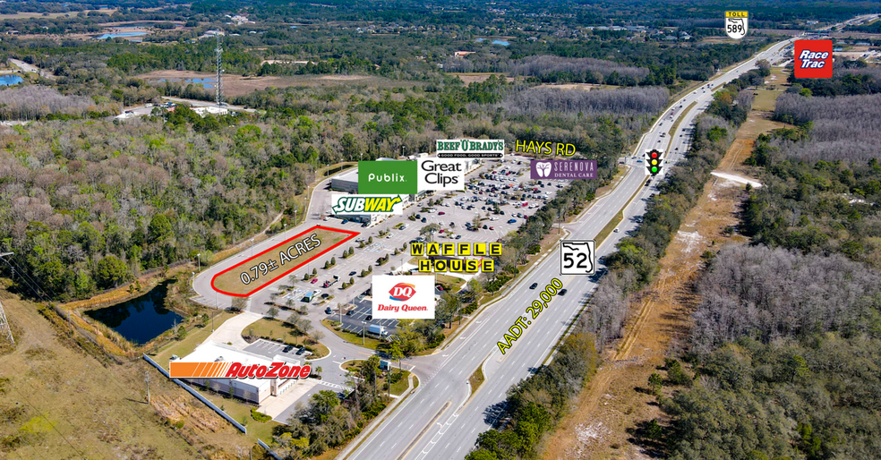 Primary Photo Of SR 52 & Hays Rd, Hudson Land For Sale