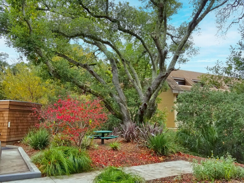 More Photos Of 201 Alameda Del Prado, Novato Office For Lease