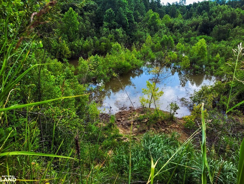 More Photos Of 3200 W Old Highway 11 SW, Mauckport Land For Sale