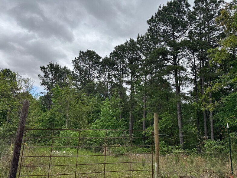 More Photos Of Mira Levee and Hwy 71, Mira Land For Sale