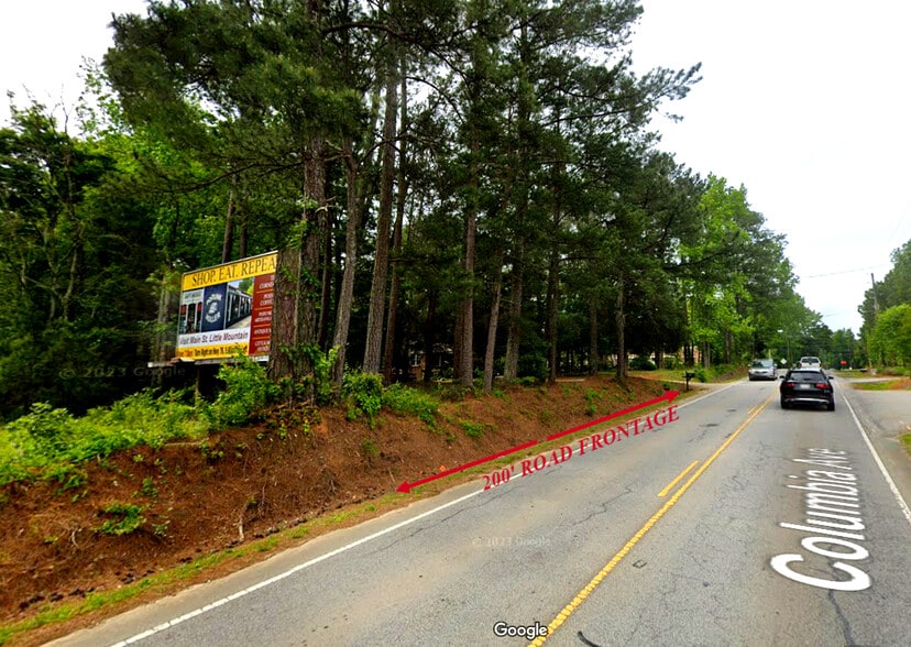 More Photos Of 534 Columbia Ave, Chapin Land For Sale