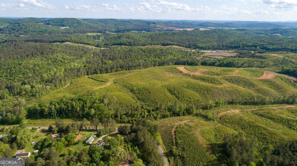 More Photos Of 0 Old Blacks Bluff Rd, Rome Land For Sale