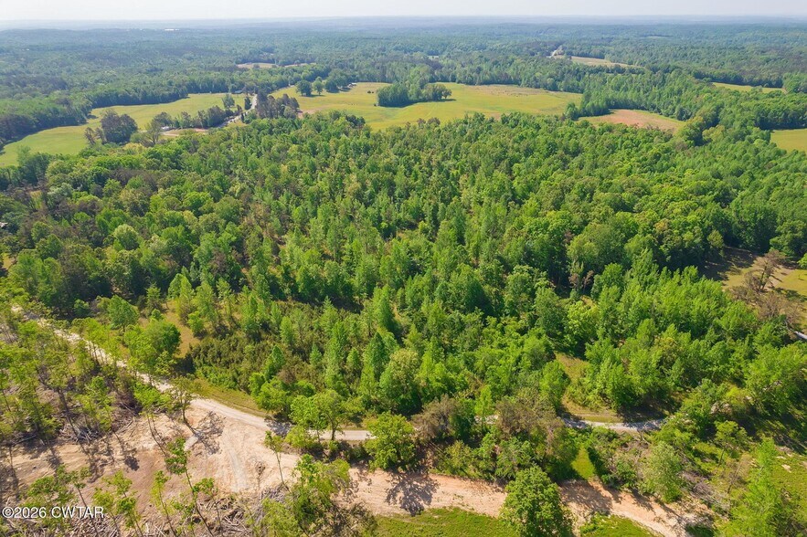 More Photos Of 9402 Brooksie Thompson Rd, Bath Springs Land For Sale