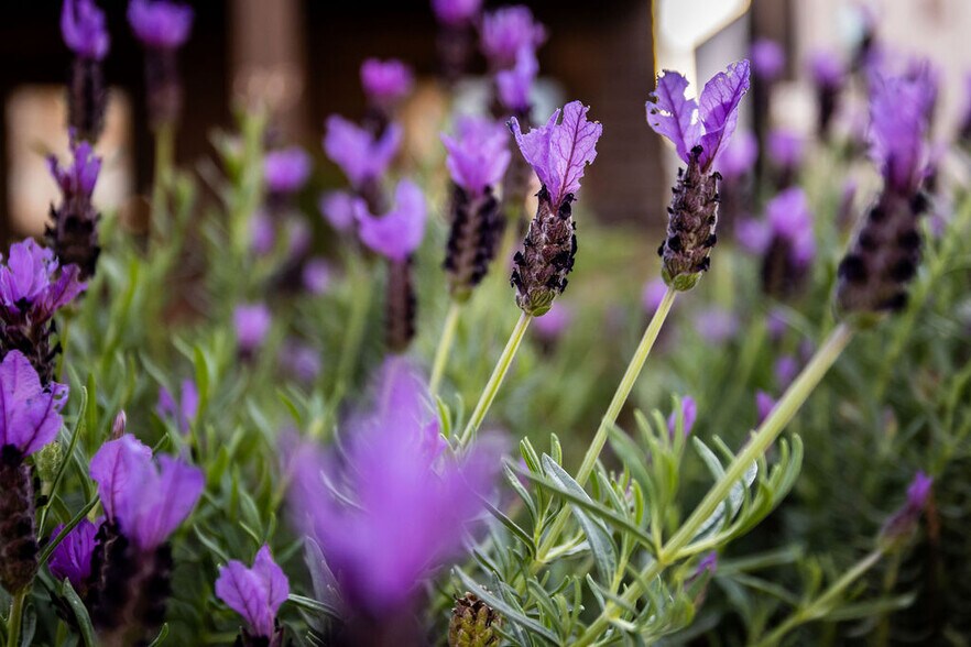 More Photos Of 219 John St, Oakland Apartments For Sale