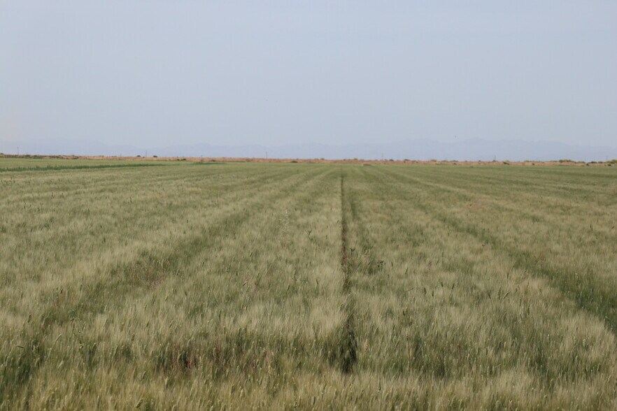 More Photos Of 501 N. Highway 87, Eloy Land For Sale