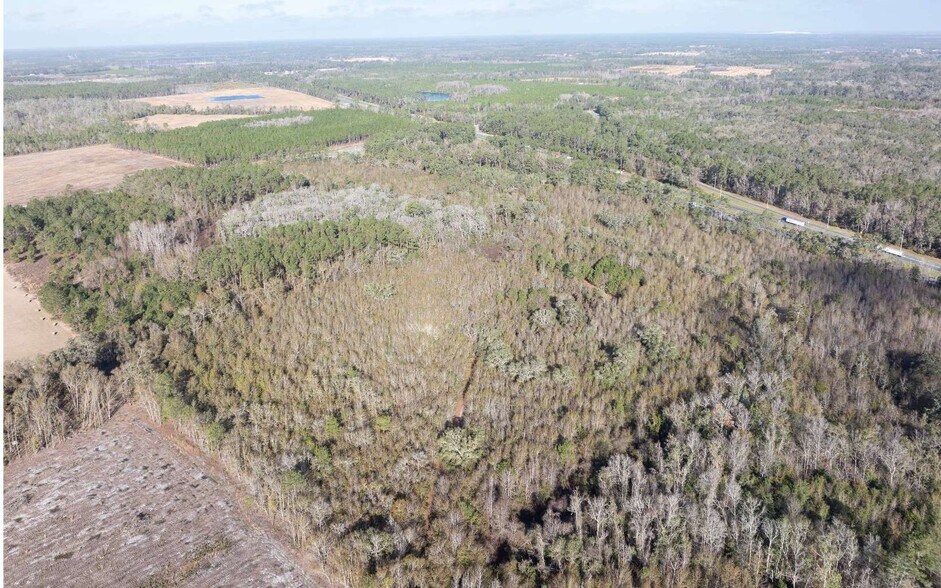 More Photos Of TBD CR 137 & I-10, Wellborn Land For Sale
