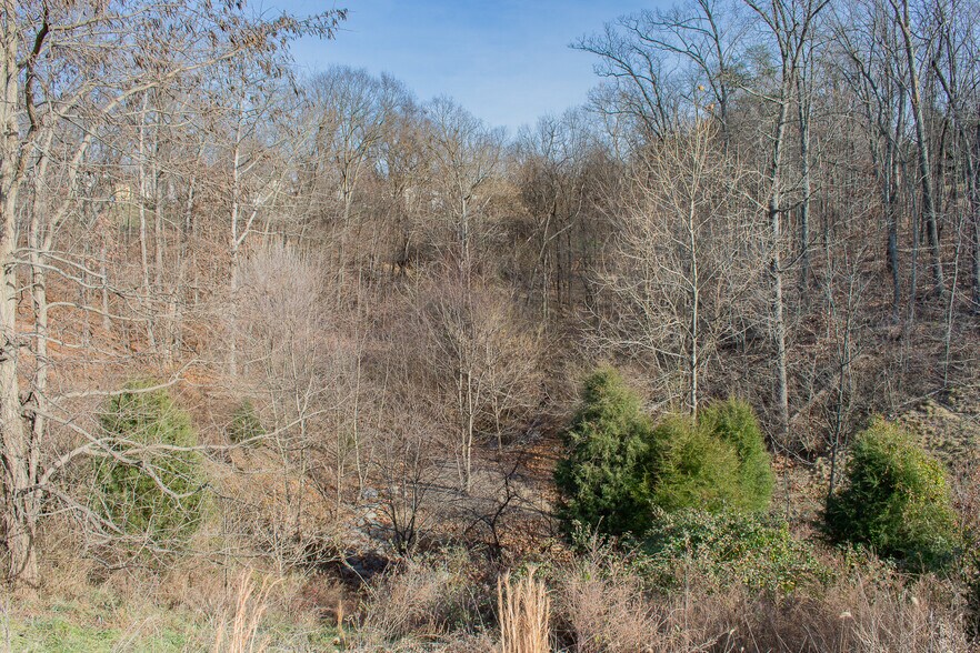 More Photos Of Remainder T.M Opequon Connector rd, Kearneysville Land For Sale
