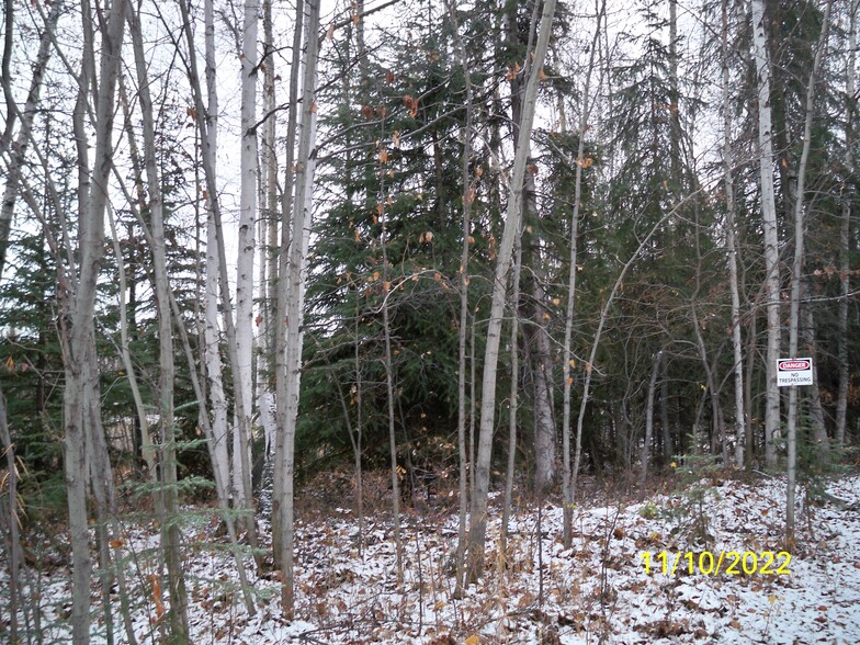 Primary Photo Of Chief William Drive, Fairbanks Land For Sale