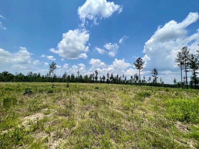 More Photos Of County Road 64, Robertsdale Land For Sale