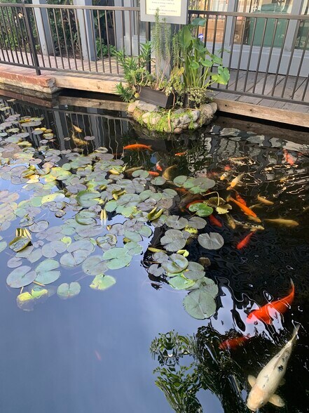 More Photos Of 360 N Midway Dr, Escondido Storefront Retail Office For Lease