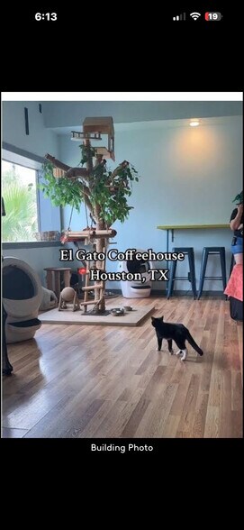 More Photos Of 508 Pecore St, Houston Freestanding For Lease