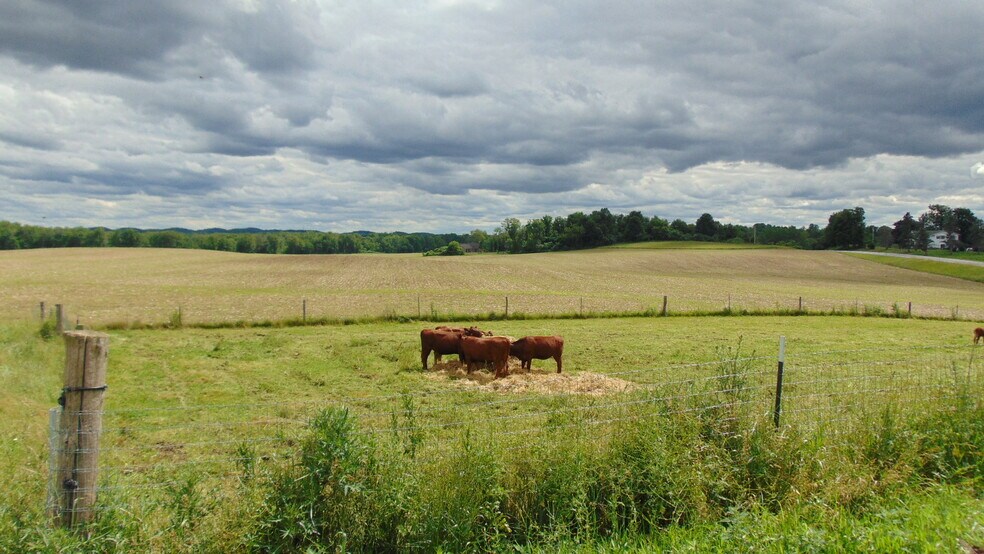 More Photos Of 2890 Jorolemon Rd, Weedsport Industrial For Sale