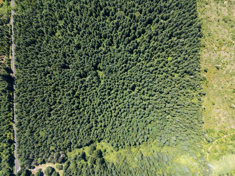 More Photos Of 0 Kiser Rd, Ethel Land For Sale