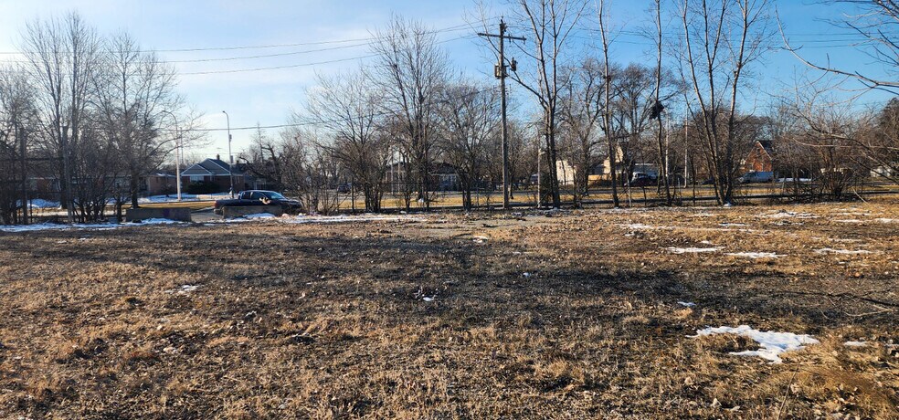 More Photos Of 440 W 87th St, Chicago Land For Sale