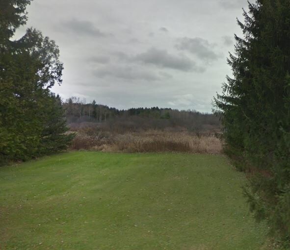 Primary Photo Of Freeville Rd, Dryden Land For Sale