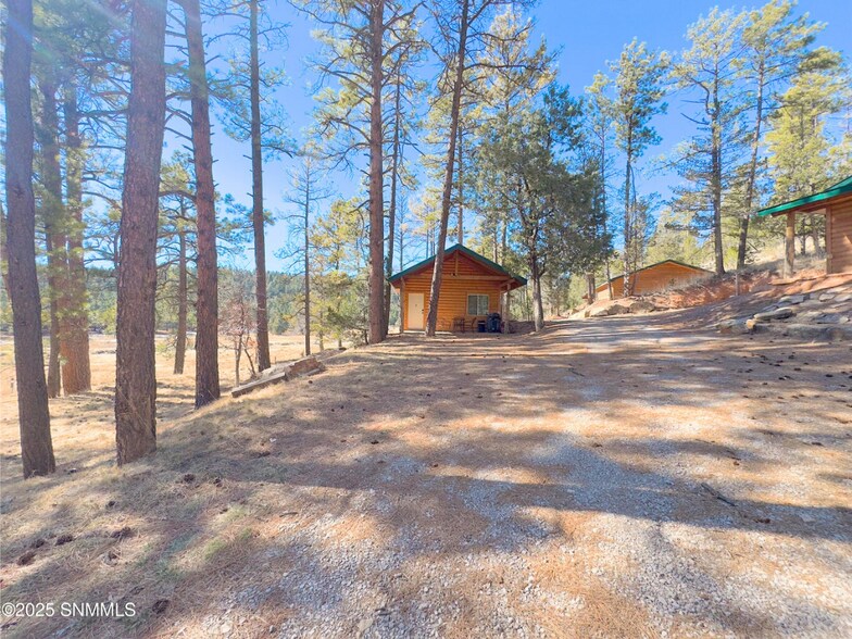 More Photos Of 2773 US Highway 82, Mayhill Hospitality For Sale