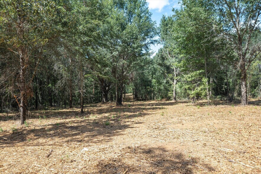 More Photos Of Tract 1 County Road 484, Mineola Land For Sale