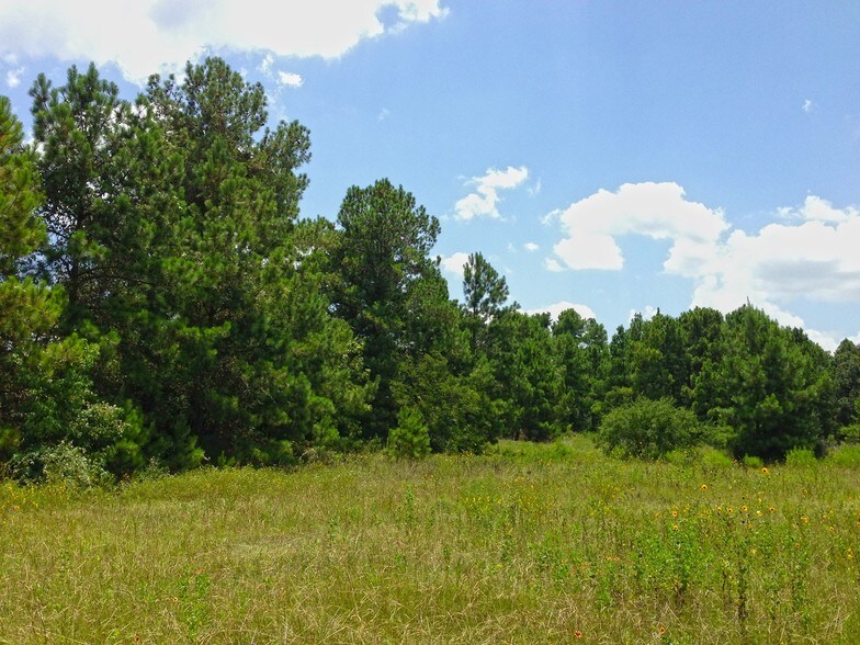 More Photos Of Hwy 90 & Texas St, Liberty Land For Sale