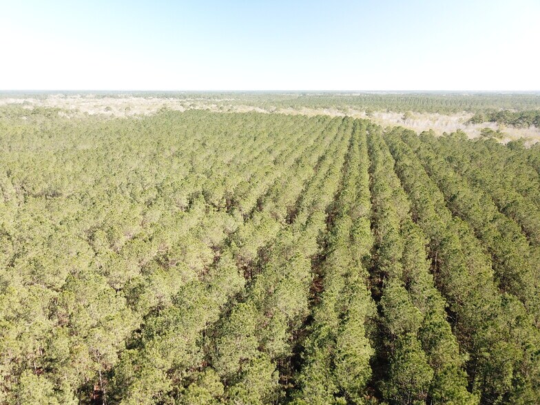 More Photos Of Corrigan Road, Vidor Land For Sale