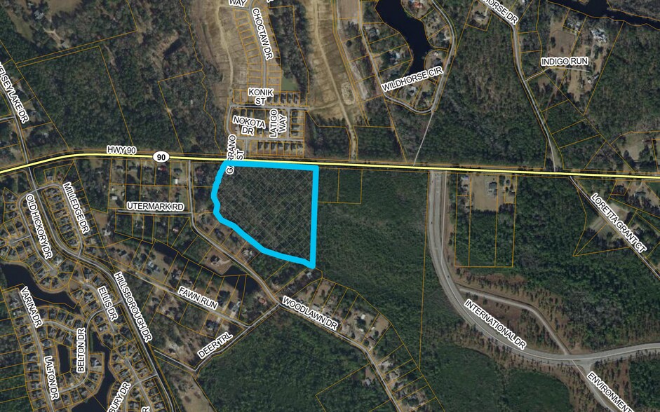 More Photos Of TBD Hwy 90, Conway Land For Sale