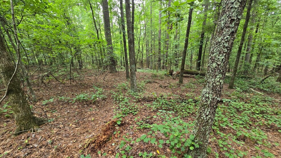 More Photos Of 5171 Ga Highway 138, Loganville Land For Sale