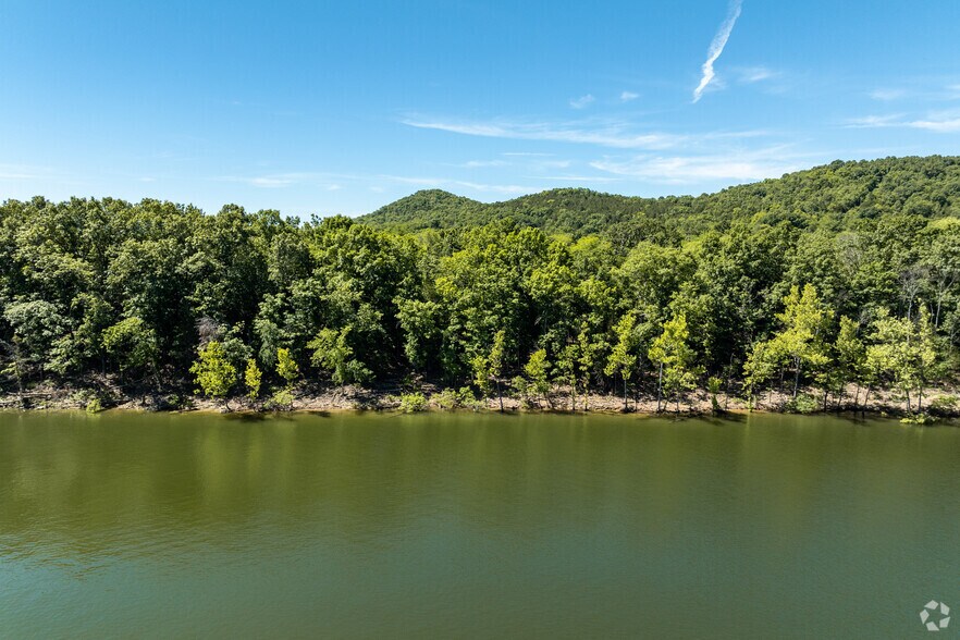 More Photos Of Carnation Ln @ Hwy 76, Cape Fair Land For Sale